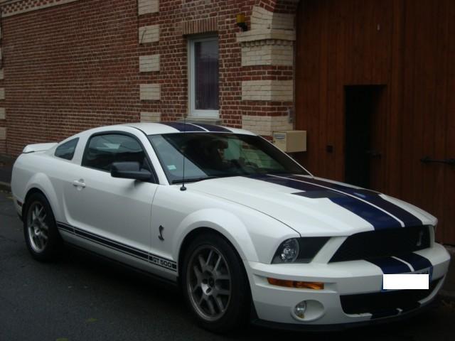 shelby 500 2008 2.JPG